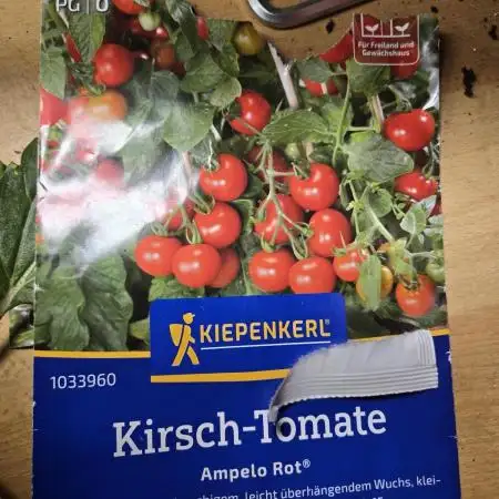Kirsch Tomaten by Kiepenkerl