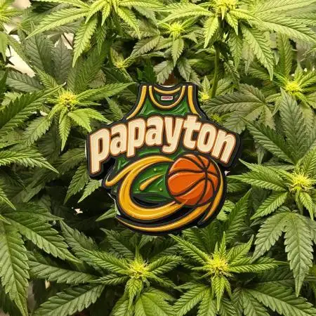 🏀 Papayton🏀
