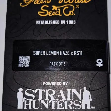 🍋 Super Lemon Haze × 🌌 RS11