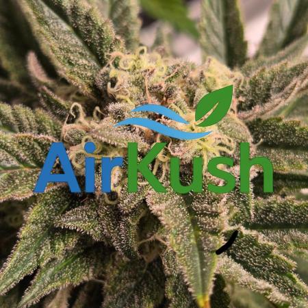 Air Kush by Adonhusa Genetics