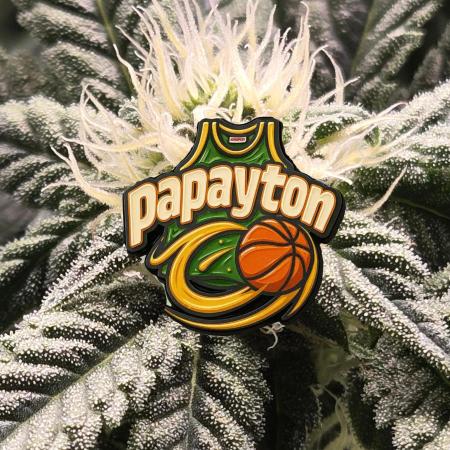 🏀 Papayton🏀