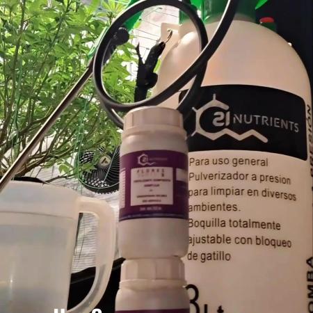 Ciclo con C21 Nutrients en indoor