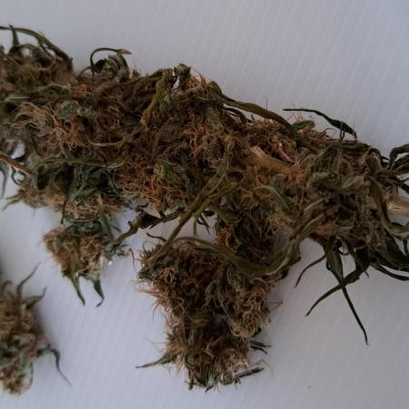 King's Juice 202602