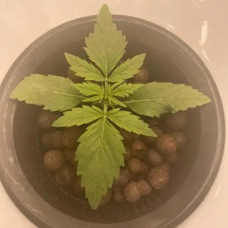 Something very NEW from TH is here^^