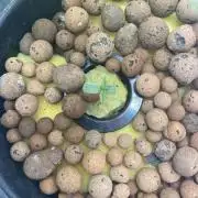 Sticky Broccoli but faster ;-=)