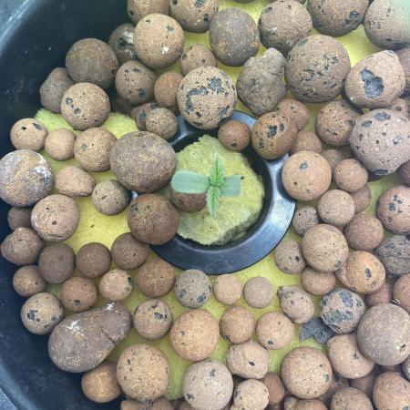 Sticky Broccoli but faster ;-=)