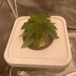 Enemy of the State V2