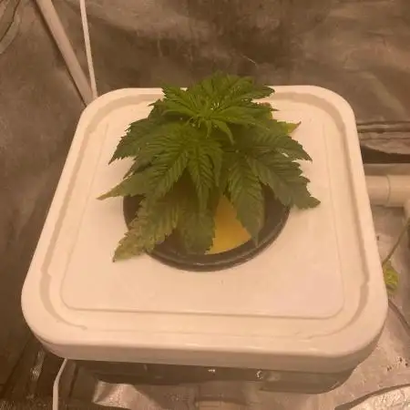 Enemy of the State V2