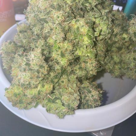 A High-Speed Journey with Divine Seeds