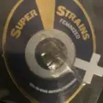 Dosidos at SuperStrains