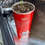 White Widow: Diary of a frosty queen