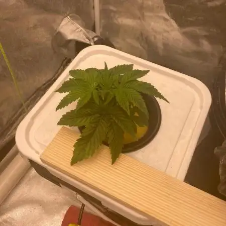 Enemy of the State V3