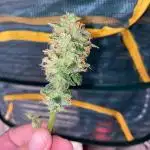 Lets fly to the Moon
