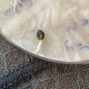 Broccoli and Sticky = Sticky Broccoli