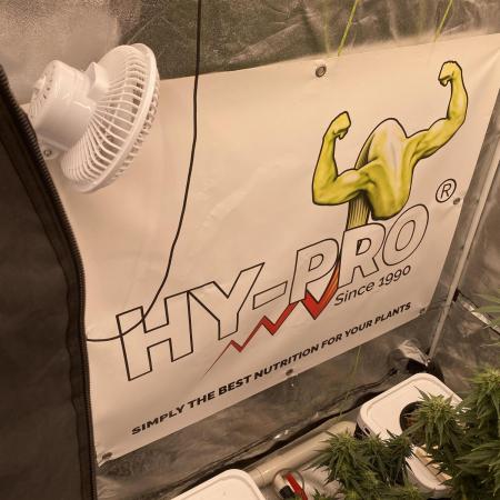 Enemy of the State no.1 ( A Co-Op Grow)