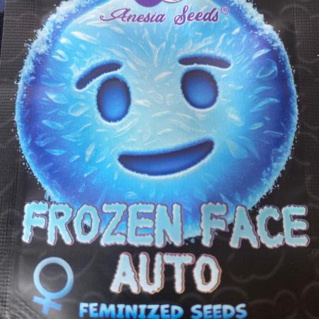Frozen face the 3 try lol