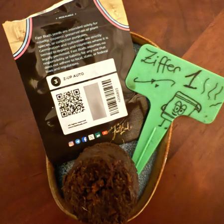 Z-Up FastBuds