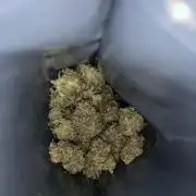 Outdoor Psyop R1 Grape Diamond R2