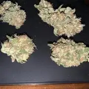 Outdoor Psyop R1 Grape Diamond R2