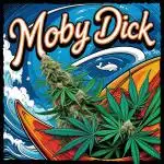Moby Dick