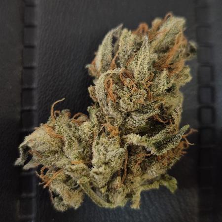 Afghan Auto by Ganja Farmer