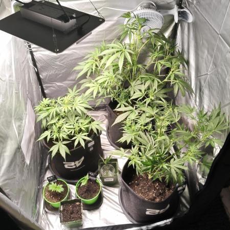 My babys