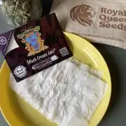 Black Cream Auto – M&O Grow #1