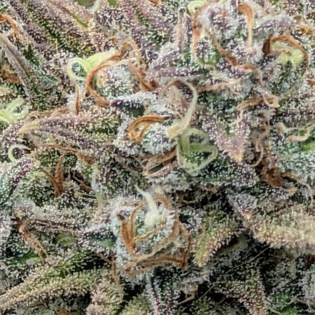 Sour Jealousy 420 FastBuds