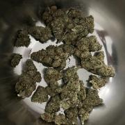 Doppler by Paradise Seeds