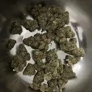 Doppler by Paradise Seeds