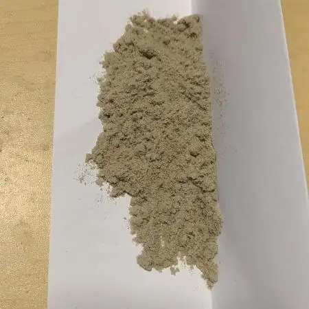 Blueberry