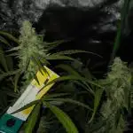 F1 Hyperion