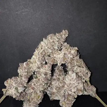 Blueberry