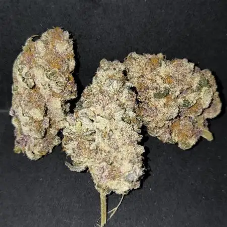 Blueberry