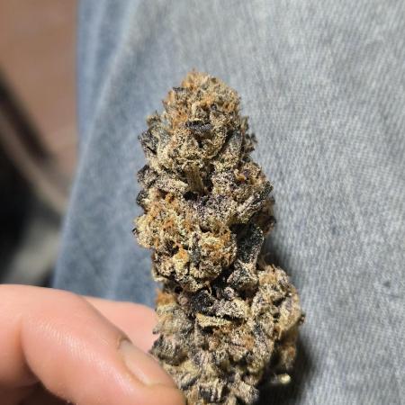 Bruce Banner,Gorilla Skittlez