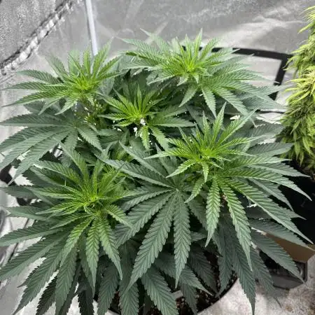 Think thank indoor