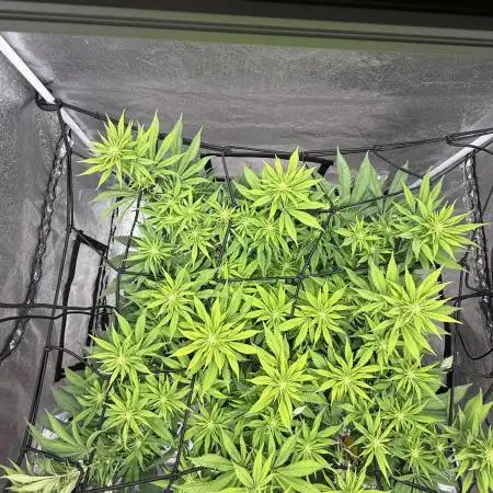Think thank indoor