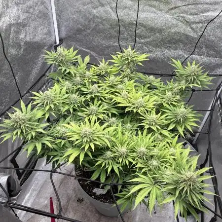 Think thank indoor