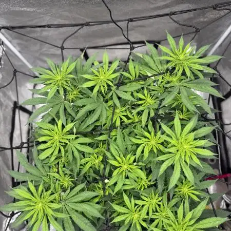 Think thank indoor