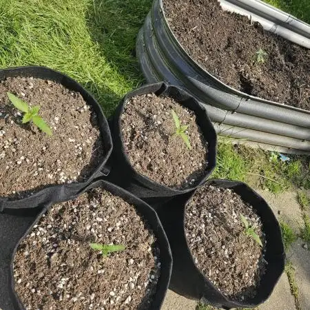 Outdoor Autos