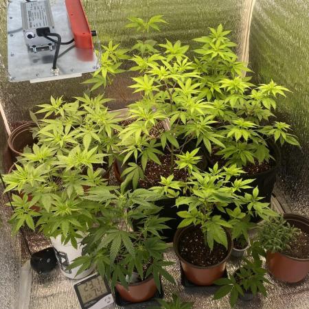 #NeverStopGrowing