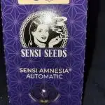 Sensi amnesia autoflower