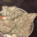 StrawBerry Gorilla