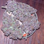 Lemon Cherry Cookies Auto