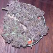 Lemon Cherry Cookies Auto