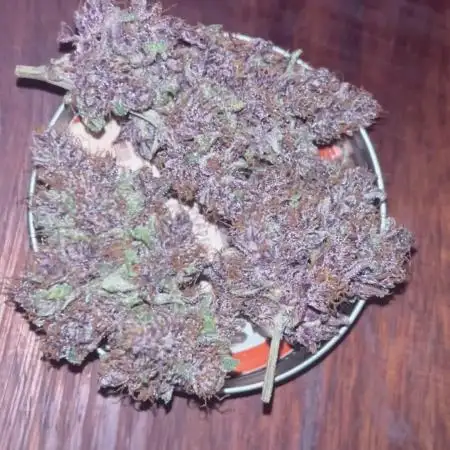 Lemon Cherry Cookies Auto