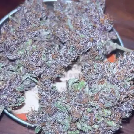 Lemon Cherry Cookies Auto