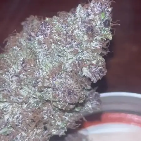 StrawBerry Gorilla