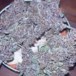 Lemon Cherry Cookies Auto