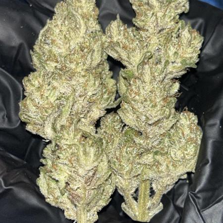 StrawBerry Gorilla RF3